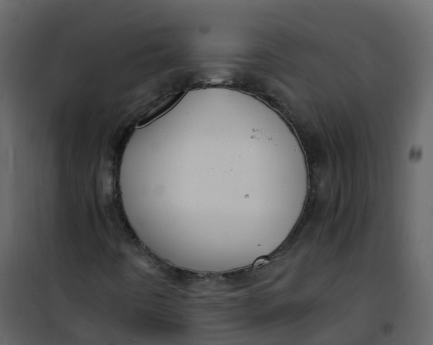 X0000101101442200807171901