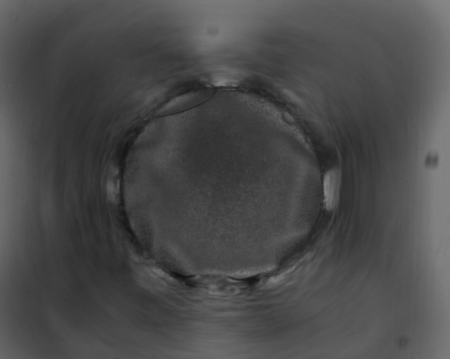 X0000101101443200807171901