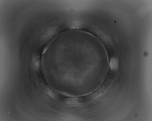 X0000101101444200807171900