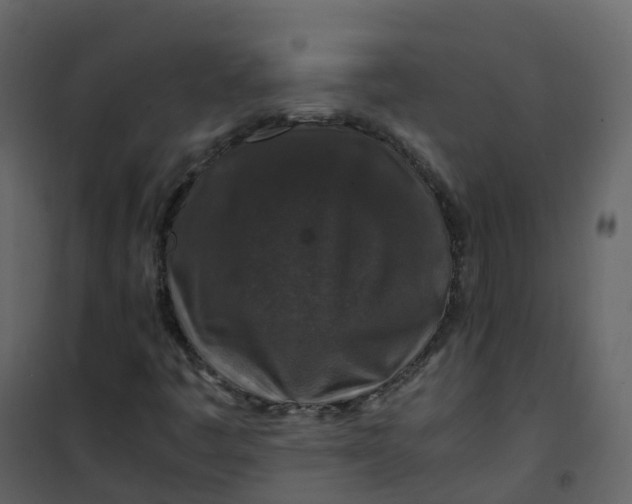 X0000101101445200807171900