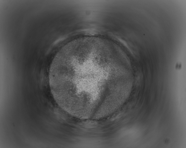 X0000101101446200807171900