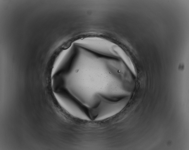 X0000101101448200807171900