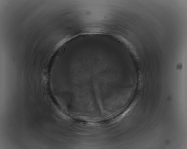 X0000101101449200807171900