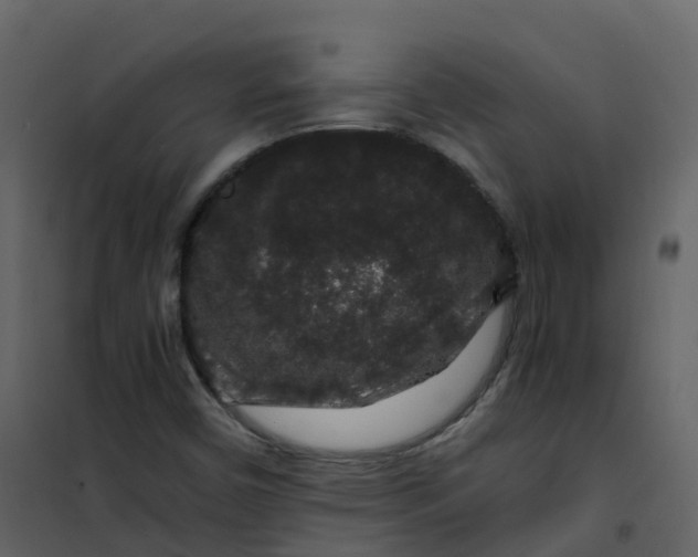 X0000101101450200807171900