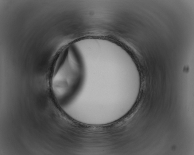 X0000101101451200807171900