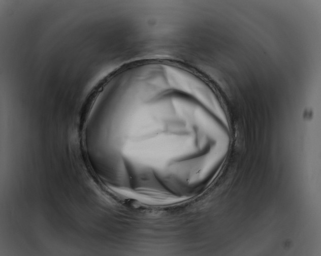 X0000101101452200807171900