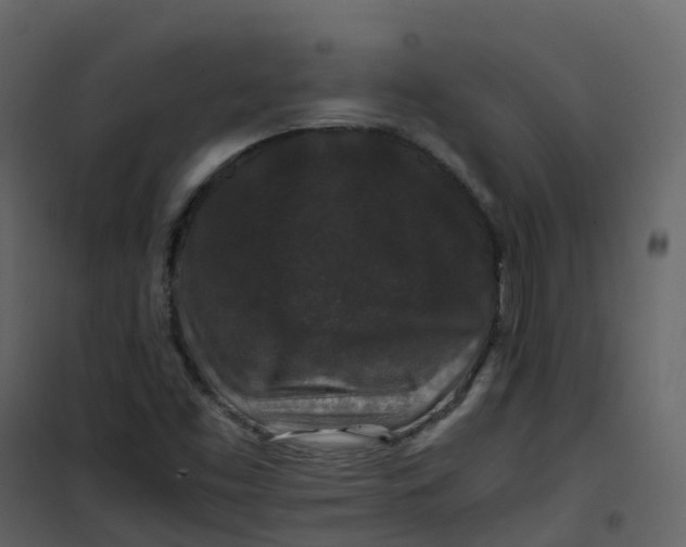 X0000101101453200807171900