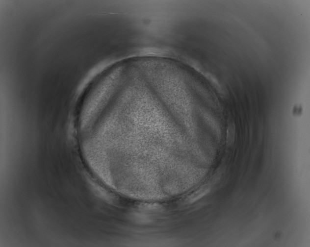 X0000101101454200807171900