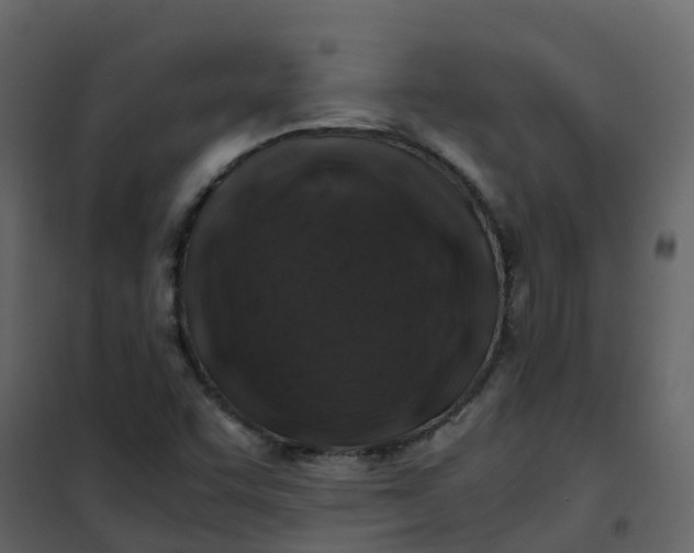 X0000101101455200807171900