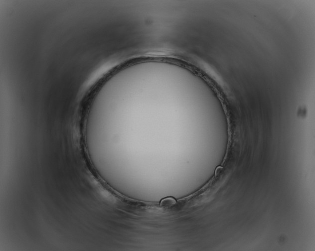 X0000101101456200807171900