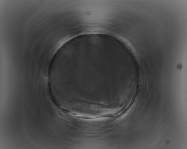 X0000101101457200807171900