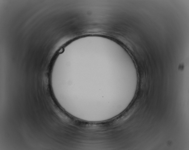 X0000101101458200807171900