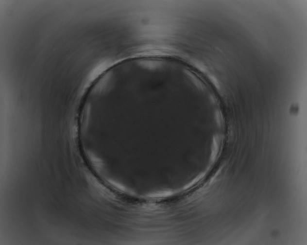 X0000101101459200807171900