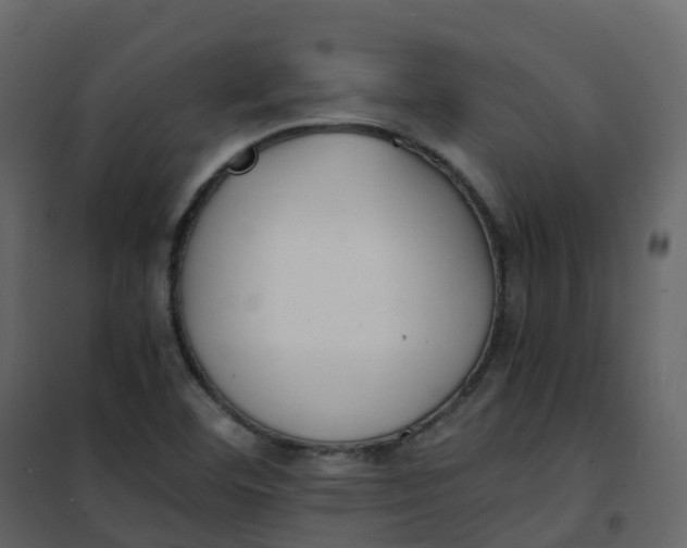 X0000101101460200807171900