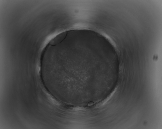 X0000101101461200807171900