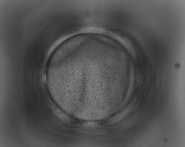 X0000101101462200807171900