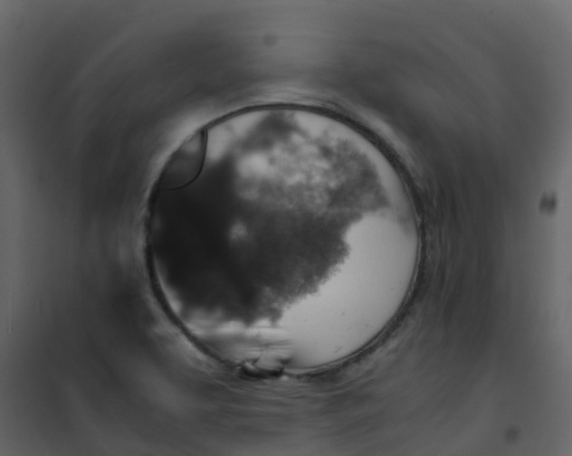 X0000101101463200807171900