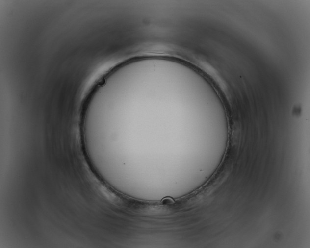 X0000101101464200807171900