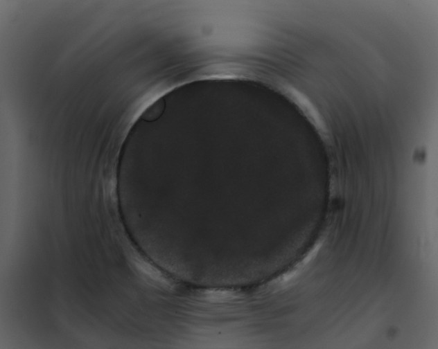 X0000101101465200807171900