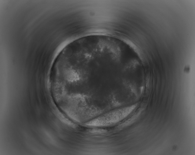 X0000101101466200807171900