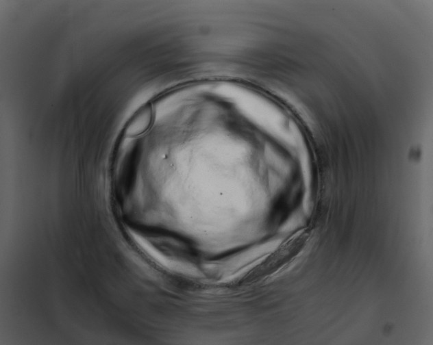 X0000101101467200807171900