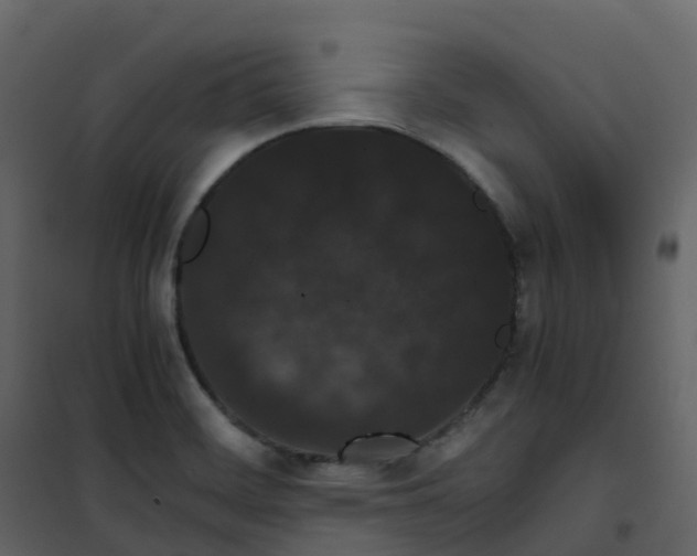 X0000101101468200807171900