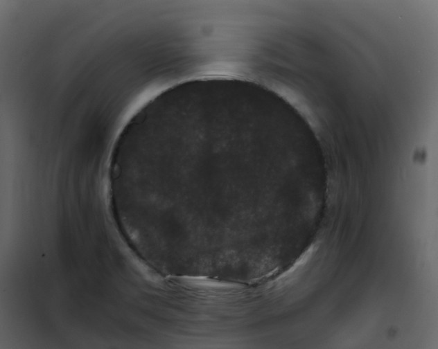 X0000101101469200807171900