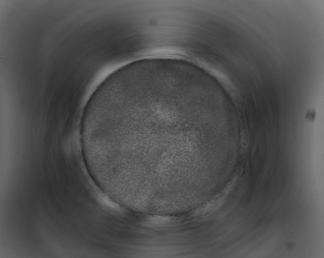 X0000101101470200807171900