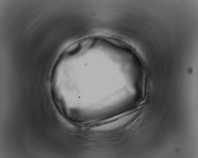 X0000101101471200807171900