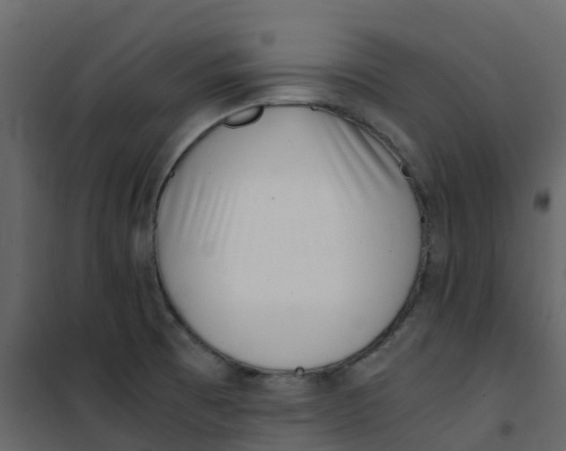 X0000101101473200807171900