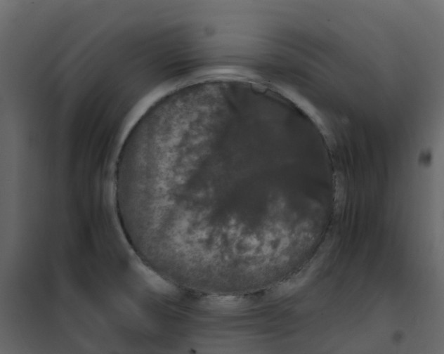 X0000101101474200807171900