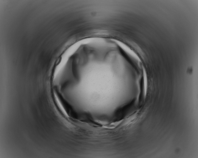 X0000101101475200807171900