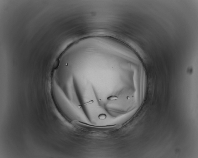 X0000101101476200807171900