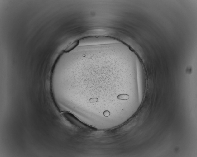 X0000101101477200807171900