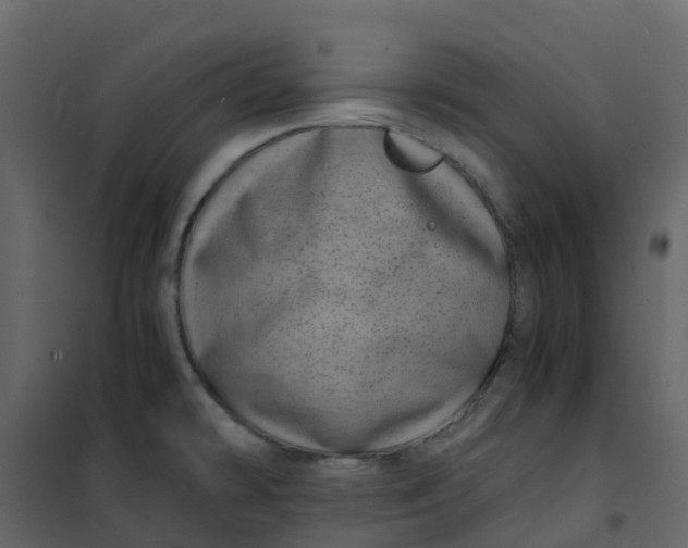 X0000101101478200807171900