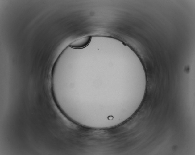 X0000101101479200807171900