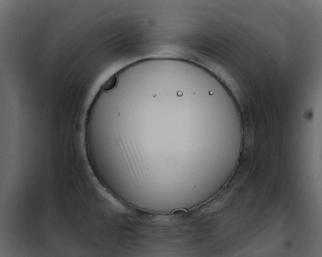 X0000101101480200807171900