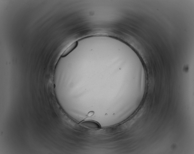 X0000101101481200807171900