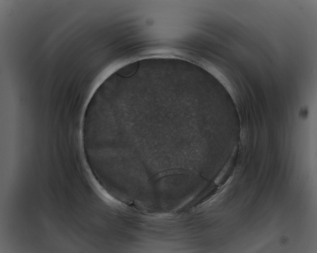 X0000101101482200807171900