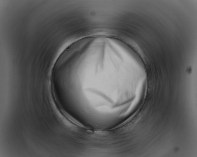 X0000101101483200807171900