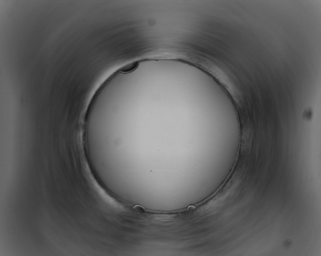 X0000101101484200807171900