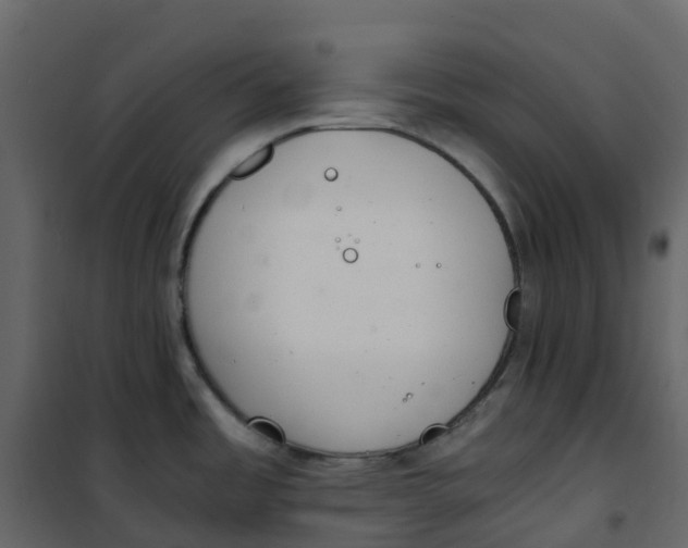 X0000101101485200807171900