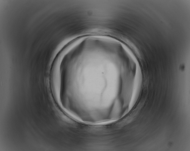 X0000101101486200807171900