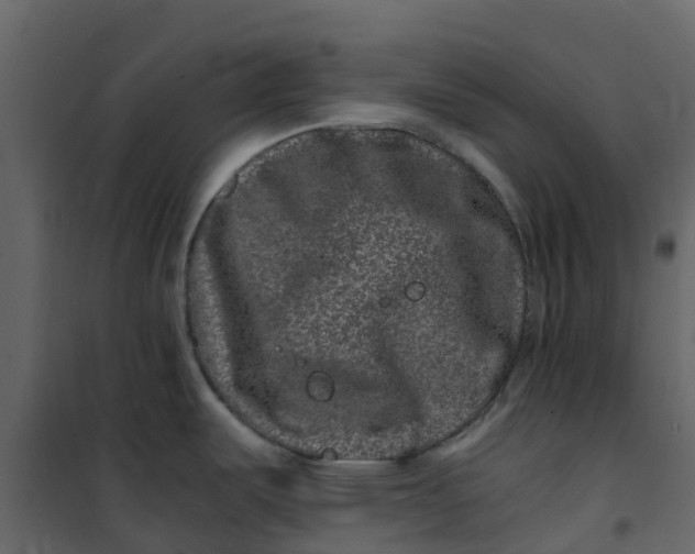 X0000101101487200807171900