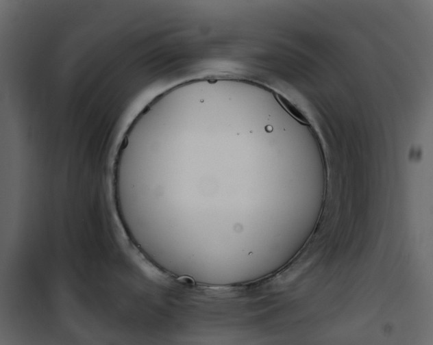 X0000101101488200807171900