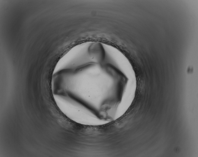 X0000101101489200807171859