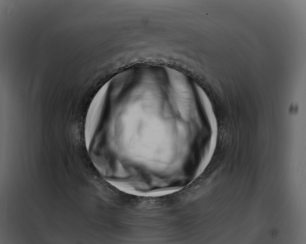 X0000101101490200807171859