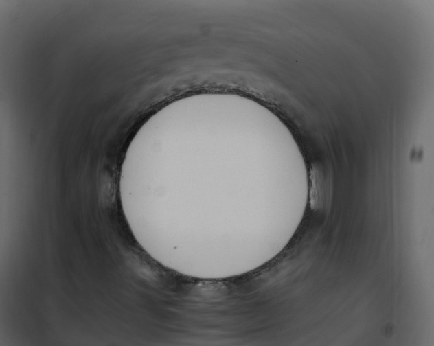 X0000101101491200807171859