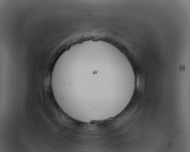 X0000101101492200807171859