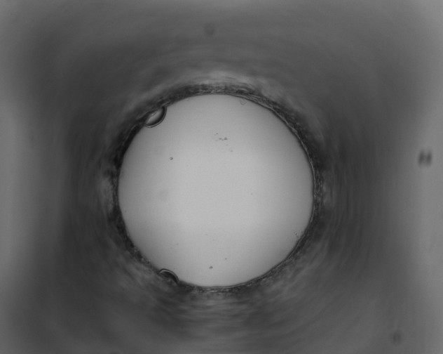 X0000101101493200807171859